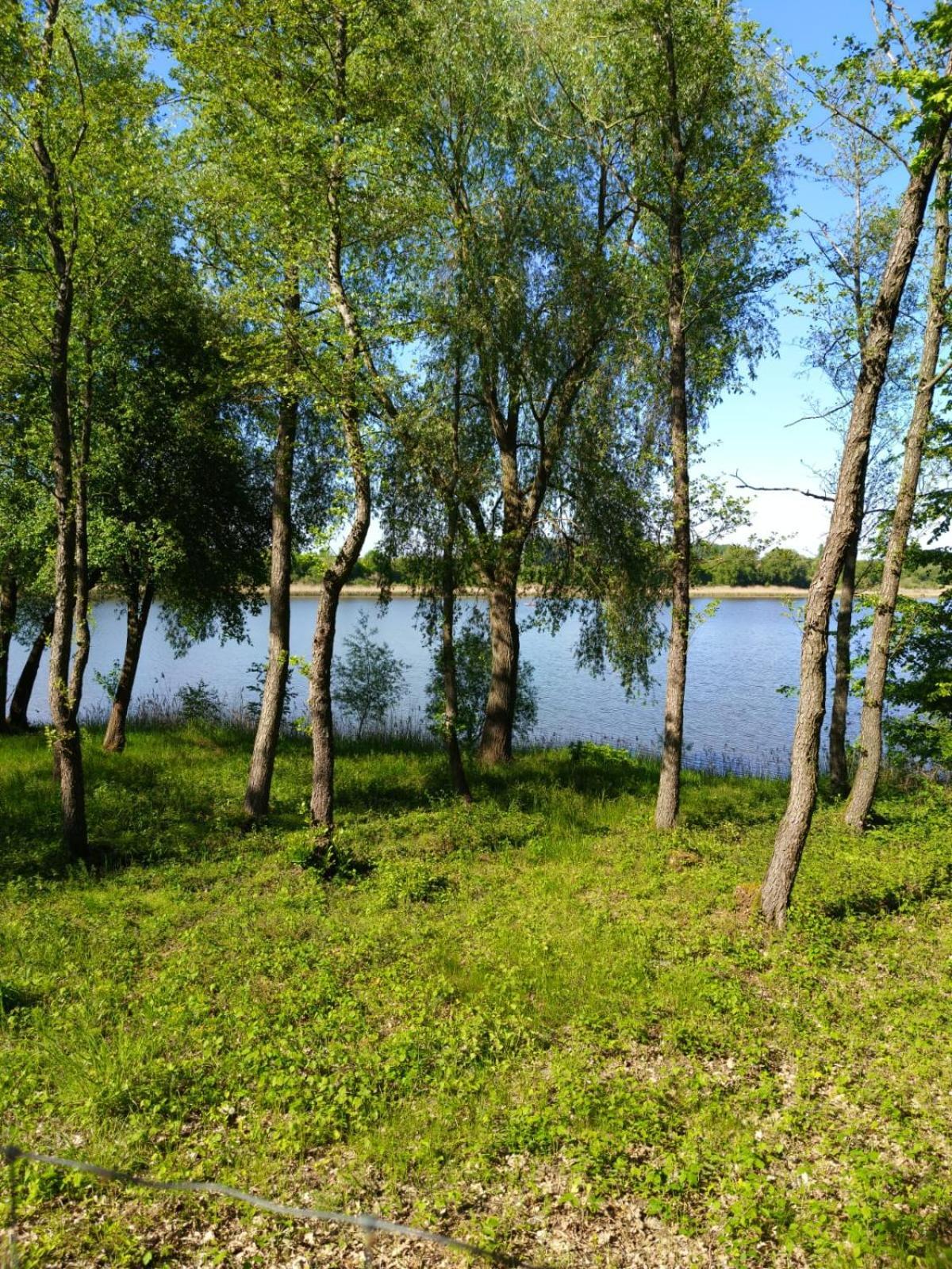 Swietna Chatka Swietne Eksteriør bilde